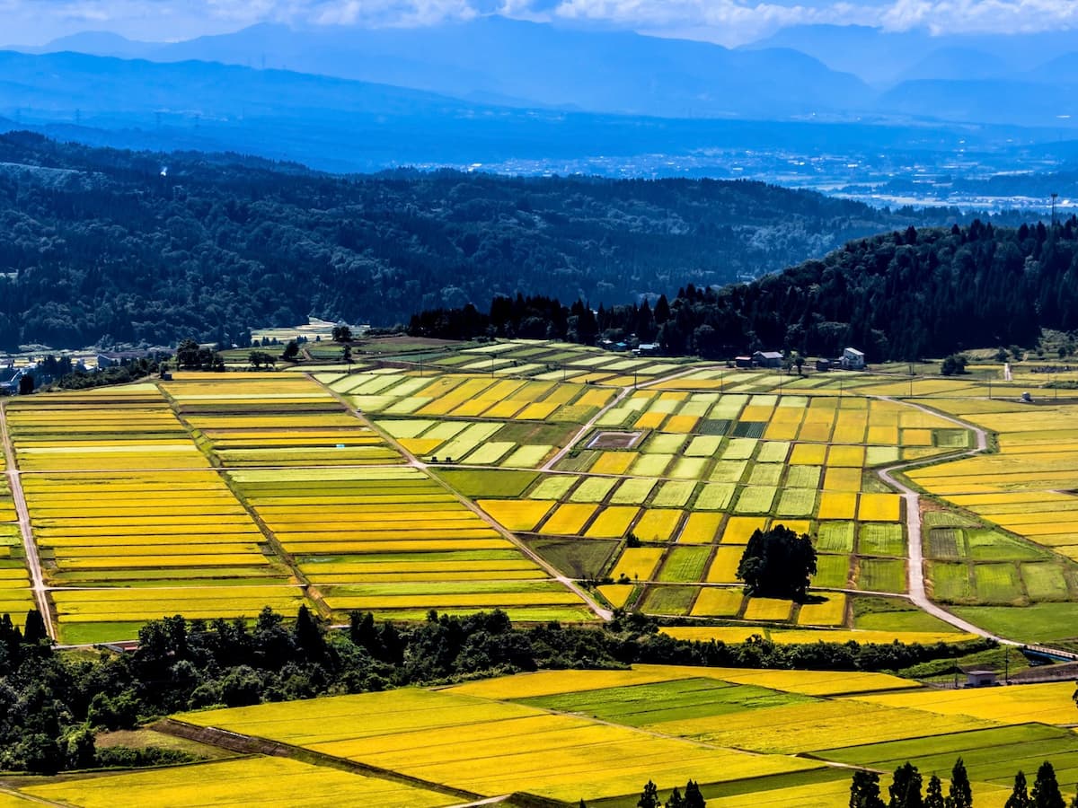 新潟県の景勝地