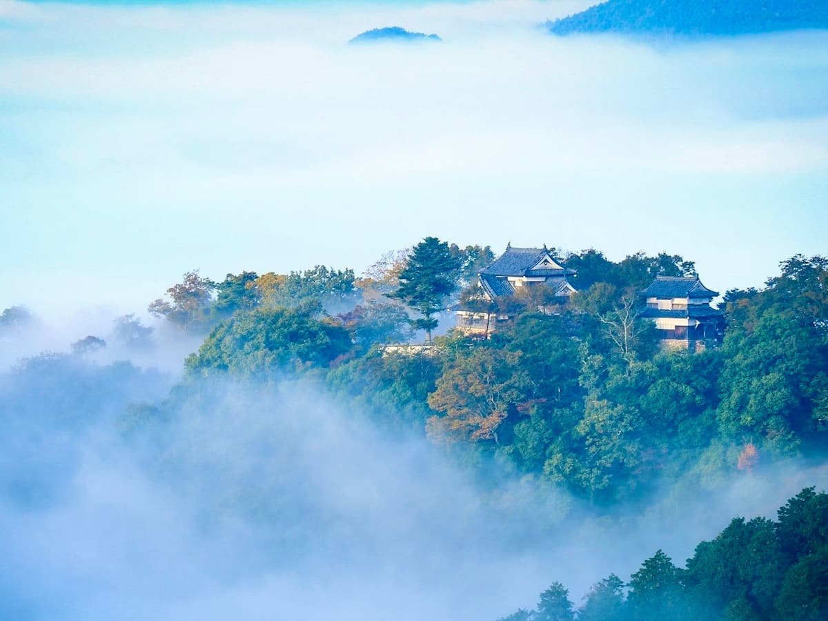 岡山県の景勝地