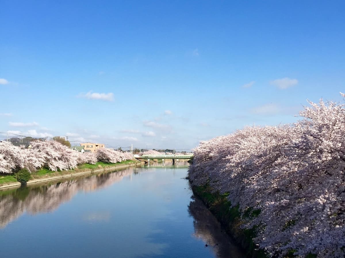埼玉県の景勝地
