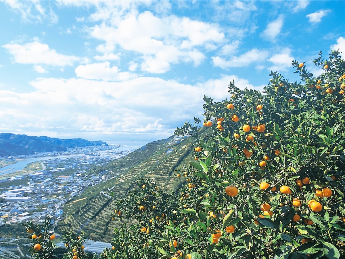 和歌山県の景勝地